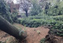 Maltempo Canneto, in corso segnalazioni dei danni per cittadini e soggetti produttivi non agricoli