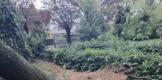Maltempo Canneto, in corso segnalazioni dei danni per cittadini e soggetti produttivi non agricoli