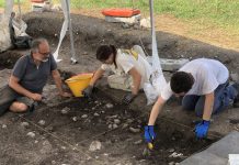 Scavi Tosina, entro fine anno una sezione dedicata nel Museo Archeologico Nazionale di Mantova