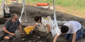 Scavi Tosina, entro fine anno una sezione dedicata nel Museo Archeologico Nazionale di Mantova