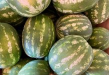 Anguria protagonista al mercato contadino: degustazioni e tradizioni a Borgochiesanuova