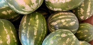 Anguria protagonista al mercato contadino: degustazioni e tradizioni a Borgochiesanuova