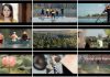 Nuovo video del Parco del Mincio dedicato ai “Custodi della biodiversità”