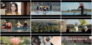 Nuovo video del Parco del Mincio dedicato ai “Custodi della biodiversità”