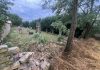 Temporale e vento a 120 Km/h sul Mantovano. Bozzolo devastata: crolla il muro del cimitero ebraico