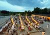 Torricella, in 600 alla festa a Corte Fabbrica. Trebbiatura d’epoca sotto la pioggia