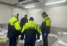 Cento chili di pesce scaduto e lotti irregolari: maxi sequestri a due grossisti mantovani