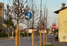 Medole, distrutta centralina per irrigazione piante. Vivaldini: “Atto riprovevole contro ambiente e bene pubblico”
