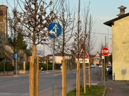 Medole, distrutta centralina per irrigazione piante. Vivaldini: “Atto riprovevole contro ambiente e bene pubblico”