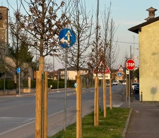 Medole, distrutta centralina per irrigazione piante. Vivaldini: “Atto riprovevole contro ambiente e bene pubblico”