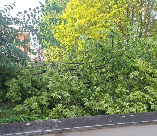Maltempo ad Asola, Coc attivo e strade liberate dagli alberi caduti