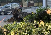 Bozzolo chiede aiuti dopo la tempesta: danni ingenti in tutto il paese
