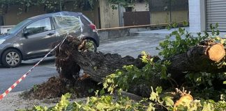 Bozzolo chiede aiuti dopo la tempesta: danni ingenti in tutto il paese