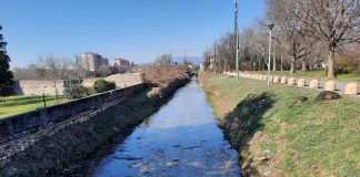 Manutenzioni argini, lavori per 1 milione lungo Oglio, Chiese e altri fiumi lombardi