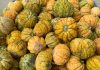 Consorzio Agrituristico Mantova: domani degustazione meloni antichi al mercato contadino di Borgochiesanuova