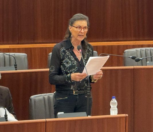 Malavicina, 200mila euro dalla Regione per riqualificare l’edificio polifunzionale