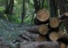 Piano Natura, Confagricoltura Mantova: norme confuse e rischiose per l’agricoltura