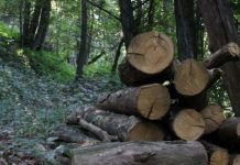 Piano Natura, Confagricoltura Mantova: norme confuse e rischiose per l’agricoltura