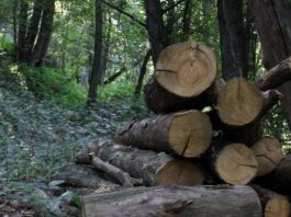 Piano Natura, Confagricoltura Mantova: norme confuse e rischiose per l’agricoltura