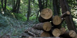 Piano Natura, Confagricoltura Mantova: norme confuse e rischiose per l’agricoltura