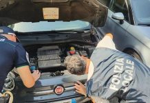 Deposito abusivo di veicoli scoperto nella zona industriale di Mantova