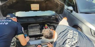 Deposito abusivo di veicoli scoperto nella zona industriale di Mantova