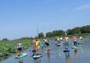 Parco del Mincio, “Destinazione Biodiversità”: escursione in Sup alla Garzaia degli Aironi rossi