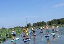 Parco del Mincio, “Destinazione Biodiversità”: escursione in Sup alla Garzaia degli Aironi rossi