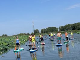 Parco del Mincio, “Destinazione Biodiversità”: escursione in Sup alla Garzaia degli Aironi rossi