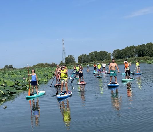 Parco del Mincio, “Destinazione Biodiversità”: escursione in Sup alla Garzaia degli Aironi rossi