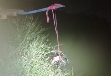 Suzzara, incidente su via Codilupo: 31enne finisce nel Trigolaro, Vespa danneggiata