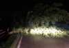 Violento temporale sul Mantovano: alberi caduti, blackout e concerto Jethro Tull annullato