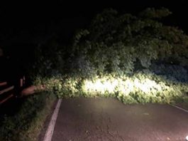Violento temporale sul Mantovano: alberi caduti, blackout e concerto Jethro Tull annullato