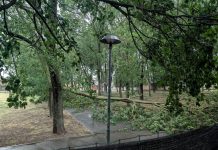 Il maltempo scuote il Mantovano: violenti temporali, vento e grandine. Parecchi blackout
