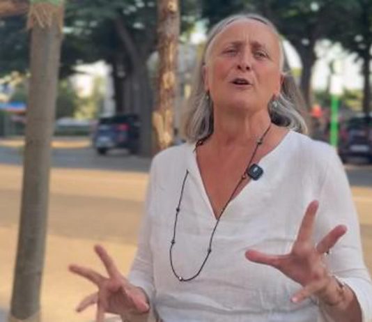 Cnn e piazza Risorgimento a Roma, Alfonsi: “Giusto più alberi e più ombra, ma serve cambiare regole”