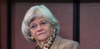 Omicidio ex deputata pro Brexit Ann Widdecombe, fermato un 28enne