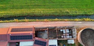 Maltempo, Coldiretti: a Marmirolo tromba d’aria distrugge stalla, nella Bassa danni ai raccolti