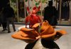 Biennale Venezia, è già un’edizione da record: visitatori aumentati del 20 per cento