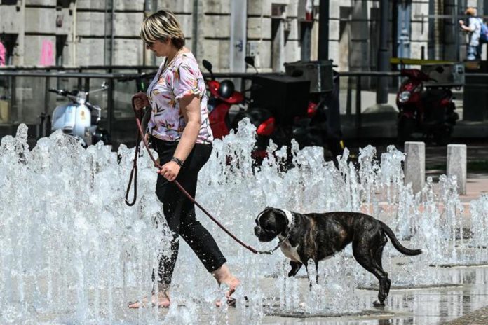 caldo_donna_cane_fontana_afp-1