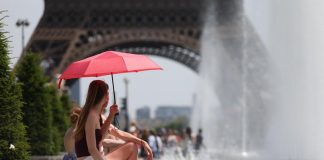 Caldo estremo in Europa, allarme Oms: “In arrivo nuova ondata fino a 43 gradi, è vera emergenza”