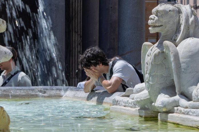 caldo_roma8_ipa-1