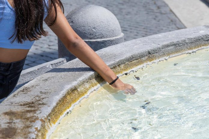 caldo_roma_mano_fontana_fg_ipa