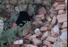 Crollo alle mura gonzaghesche dopo la tromba d’aria: nuovo allarme a Bozzolo