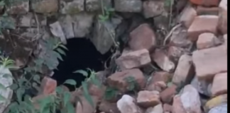 Crollo alle mura gonzaghesche dopo la tromba d’aria: le pietre cadute ostruiscono il canale