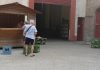 Nemmeno il rogo ferma la Cantina di Quistello: vendita ripartita, vendemmmia e imbottigliamento confermati