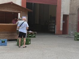 Nemmeno il rogo ferma la Cantina di Quistello: vendita ripartita, vendemmmia e imbottigliamento confermati
