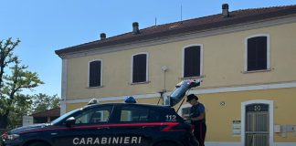 Canneto sull’Oglio, armato di coltello blocca il treno: 39enne denunciato