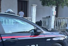 Sermide, piazza di spaccio scoperta grazie alle fototrappole: arrestato 28enne