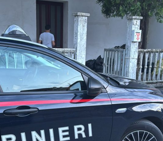 Sermide, piazza di spaccio scoperta grazie alle fototrappole: arrestato 28enne