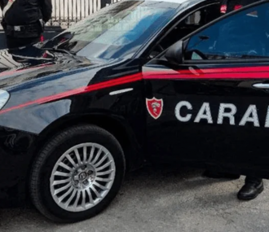 Oglio Po nel mirino dei ladri: furti in aziende di Rivarolo Mantovano e Gazzuolo